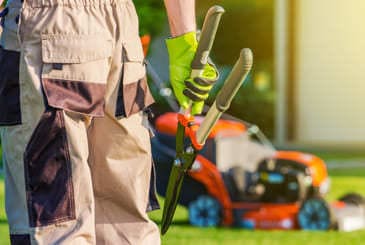 Die professionelle Gartenbetreuung von Dreck weg